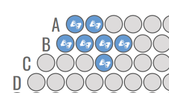 FAC Auslan interpreter seating