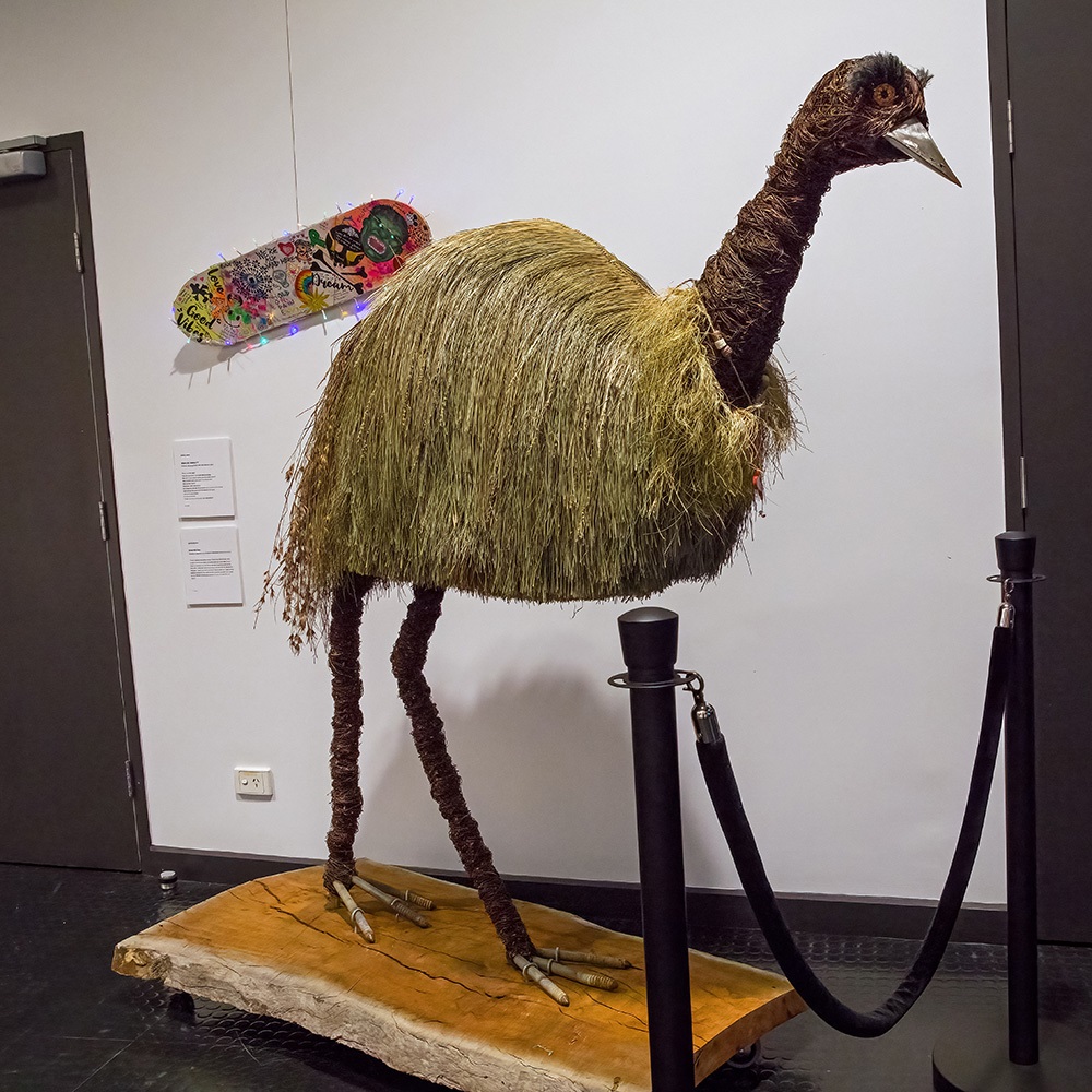 FAC Open Exhibition - Steve the Emu