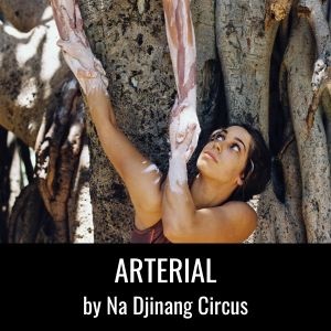 Arterial digi program.jpg