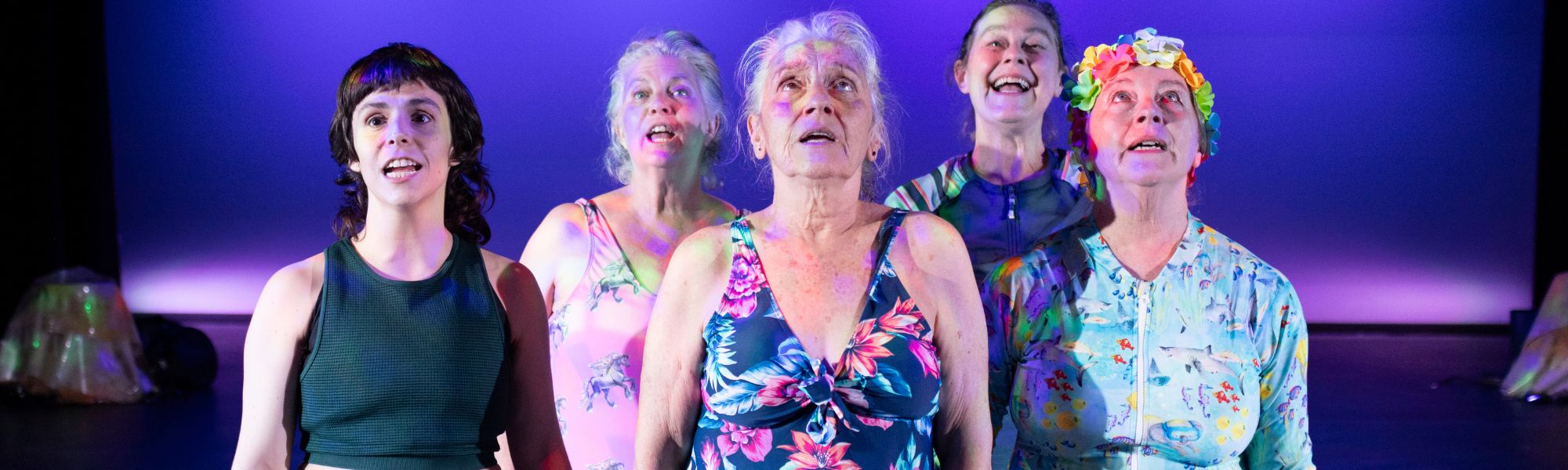 Sea Wolves Howl - Frankston Arts Centre
